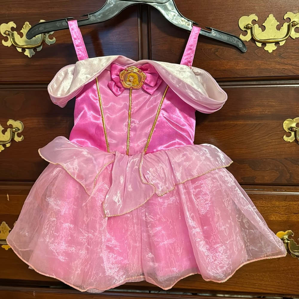 Disney Princess Aurora Halloween Costume
